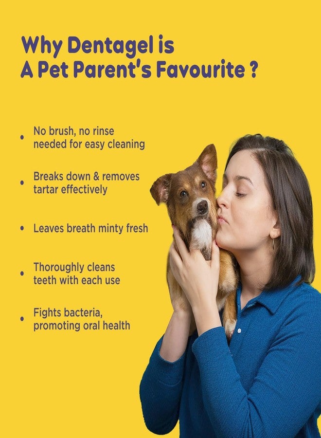 pil Pet Denta Gel Toothpaste for Dog & Cat with Mint, Green Tea Extract & Clove Oil |Fights Gum Diseases, Removes Plaque & Controls Bad Breath| Squeeze Only- No Brushing, No Rinsing (100Gm). - Image 4